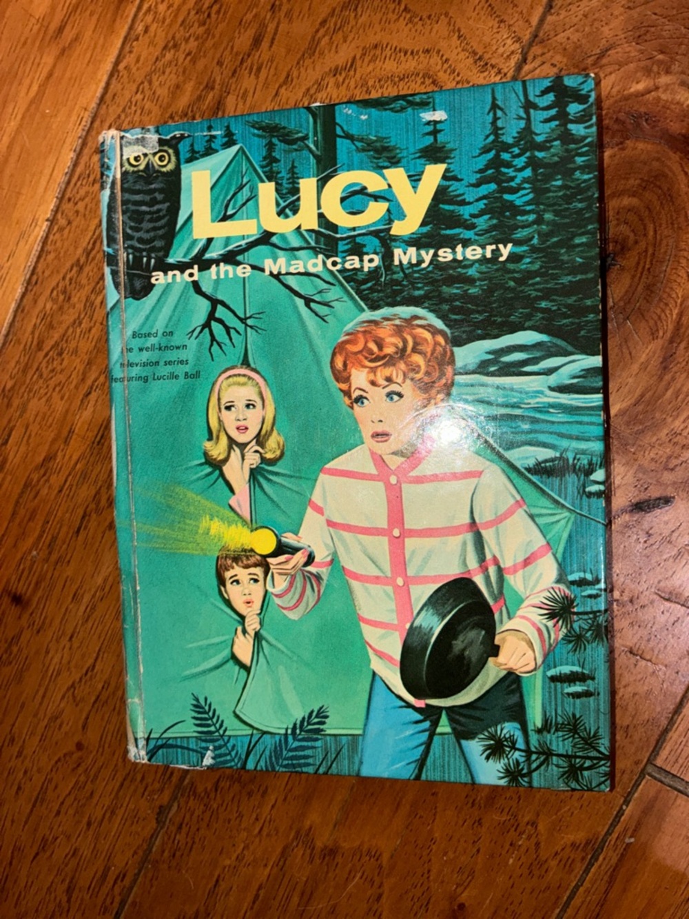 Lucy and the Madcap Mystery Vintage Illustrated Book - Teal Cover